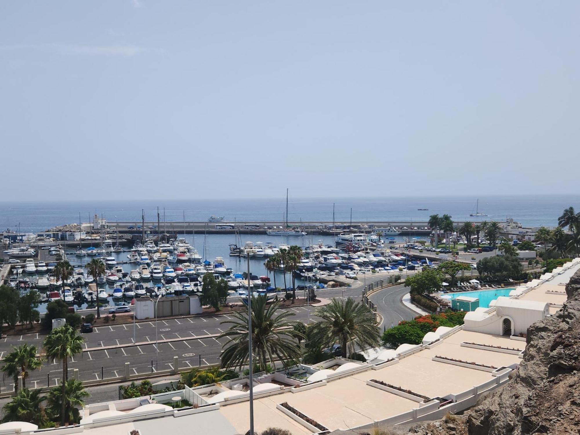 New Renovated Family Home Above Swimming Pool بورتو ريكو المظهر الخارجي الصورة